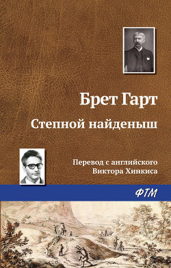 Читать онлайн книгу Степной найденыш автор Гарт Фрэнсис Брет Книга Степной найденыш